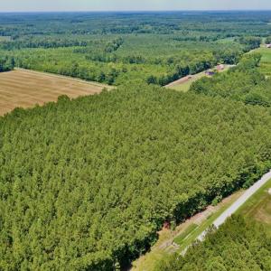 Photo #12 of SOLD property in Off Page Riddick Road, Gates, NC 10.6 acres