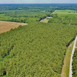 Photo #13 of SOLD property in Off Page Riddick Road, Gates, NC 10.6 acres