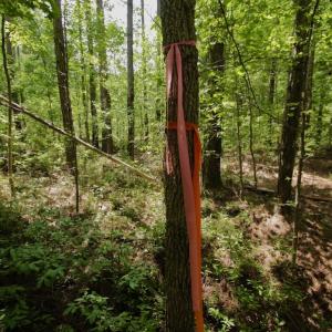 Photo #20 of SOLD property in Off Page Riddick Road, Gates, NC 10.6 acres
