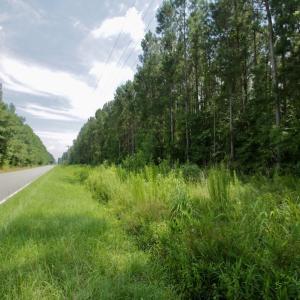 Photo #34 of SOLD property in Off Page Riddick Road, Gates, NC 10.6 acres