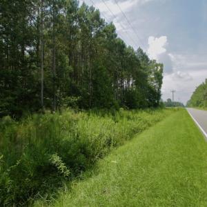 Photo #36 of SOLD property in Off Page Riddick Road, Gates, NC 10.6 acres