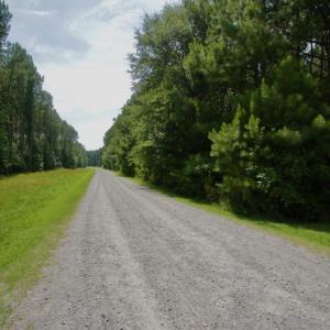 Photo #37 of SOLD property in Off Page Riddick Road, Gates, NC 10.6 acres