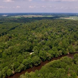 Photo #3 of SOLD property in Off Hwy 123 North, Hookerton, NC 89.0 acres