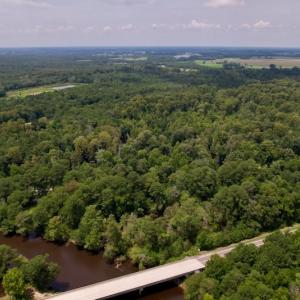 Photo #5 of SOLD property in Off Hwy 123 North, Hookerton, NC 89.0 acres