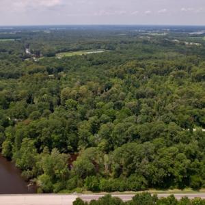 Photo #6 of SOLD property in Off Hwy 123 North, Hookerton, NC 89.0 acres