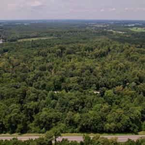 Photo #7 of SOLD property in Off Hwy 123 North, Hookerton, NC 89.0 acres