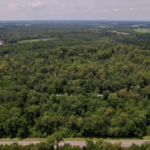 Photo #7 of SOLD property in Off Hwy 123 North, Hookerton, NC 89.0 acres