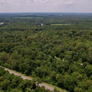 Photo #8 of SOLD property in Off Hwy 123 North, Hookerton, NC 89.0 acres