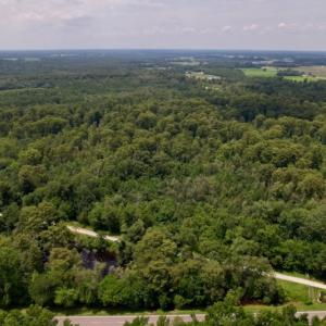 Photo #9 of SOLD property in Off Hwy 123 North, Hookerton, NC 89.0 acres
