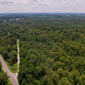 Photo #10 of SOLD property in Off Hwy 123 North, Hookerton, NC 89.0 acres