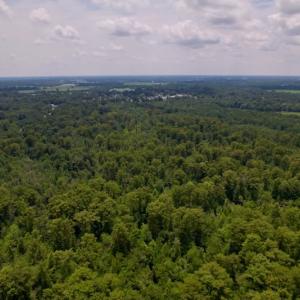 Photo #12 of SOLD property in Off Hwy 123 North, Hookerton, NC 89.0 acres