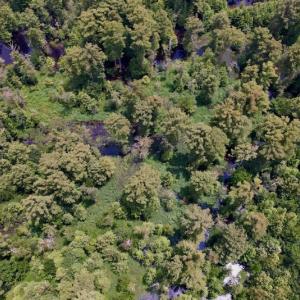 Photo #14 of SOLD property in Off Hwy 123 North, Hookerton, NC 89.0 acres