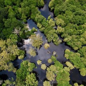Photo #17 of SOLD property in Off Hwy 123 North, Hookerton, NC 89.0 acres
