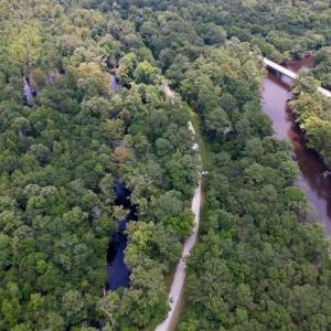 Photo #18 of SOLD property in Off Hwy 123 North, Hookerton, NC 89.0 acres
