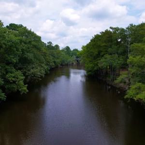 Photo #20 of SOLD property in Off Hwy 123 North, Hookerton, NC 89.0 acres