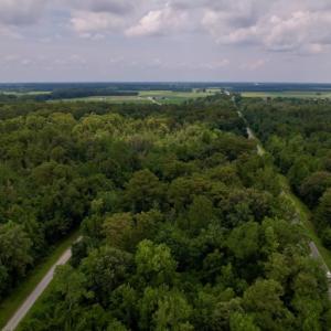 Photo #24 of SOLD property in Off Hwy 123 North, Hookerton, NC 89.0 acres