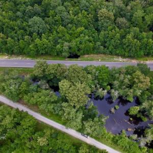 Photo #25 of SOLD property in Off Hwy 123 North, Hookerton, NC 89.0 acres