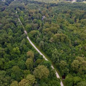 Photo #26 of SOLD property in Off Hwy 123 North, Hookerton, NC 89.0 acres