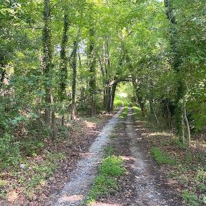 Photo #28 of SOLD property in Off Green Pasture Lane, Carrollton, VA 6.0 acres