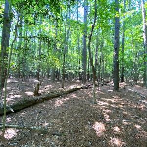 Photo #2 of SOLD property in Off Green Pasture Lane, Carrollton, VA 6.0 acres