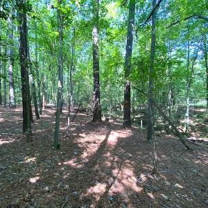 Photo #3 of SOLD property in Off Green Pasture Lane, Carrollton, VA 6.0 acres