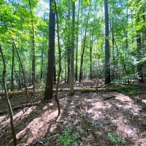 Photo #6 of SOLD property in Off Green Pasture Lane, Carrollton, VA 6.0 acres