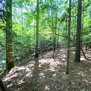 Photo #10 of SOLD property in Off Green Pasture Lane, Carrollton, VA 6.0 acres