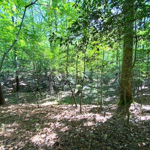 Photo #11 of SOLD property in Off Green Pasture Lane, Carrollton, VA 6.0 acres