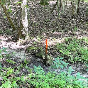 Photo #12 of SOLD property in Off Green Pasture Lane, Carrollton, VA 6.0 acres