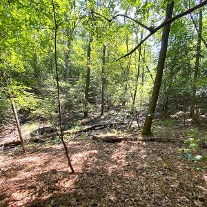 Photo #13 of SOLD property in Off Green Pasture Lane, Carrollton, VA 6.0 acres