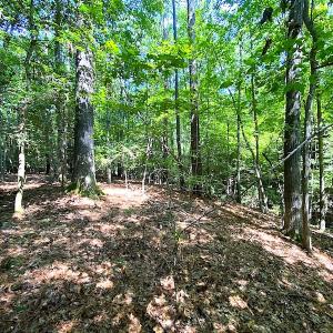 Photo #14 of SOLD property in Off Green Pasture Lane, Carrollton, VA 6.0 acres