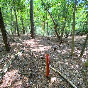 Photo #15 of SOLD property in Off Green Pasture Lane, Carrollton, VA 6.0 acres