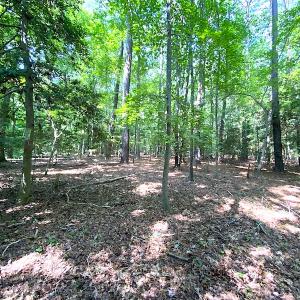 Photo #16 of SOLD property in Off Green Pasture Lane, Carrollton, VA 6.0 acres
