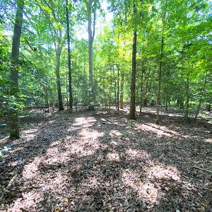 Photo #18 of SOLD property in Off Green Pasture Lane, Carrollton, VA 6.0 acres