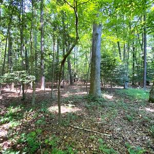 Photo #19 of SOLD property in Off Green Pasture Lane, Carrollton, VA 6.0 acres