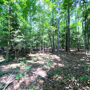 Photo #21 of SOLD property in Off Green Pasture Lane, Carrollton, VA 6.0 acres