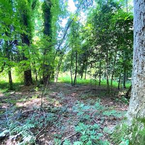 Photo #22 of SOLD property in Off Green Pasture Lane, Carrollton, VA 6.0 acres