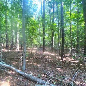 Photo #23 of SOLD property in Off Green Pasture Lane, Carrollton, VA 6.0 acres