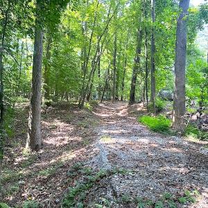 Photo #25 of SOLD property in Off Green Pasture Lane, Carrollton, VA 6.0 acres