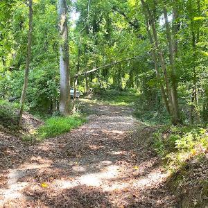 Photo #27 of SOLD property in Off Green Pasture Lane, Carrollton, VA 6.0 acres