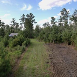 Photo #2 of SOLD property in Off Old Dothan Road, Tabor City, NC 20.9 acres