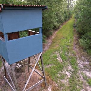 Photo #11 of SOLD property in Off Old Dothan Road, Tabor City, NC 20.9 acres