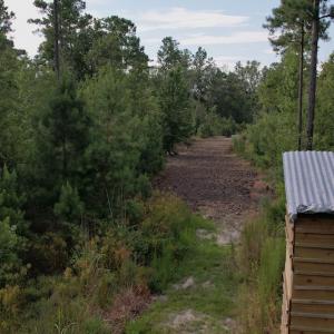 Photo #13 of SOLD property in Off Old Dothan Road, Tabor City, NC 20.9 acres