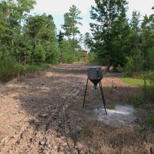 Photo #14 of SOLD property in Off Old Dothan Road, Tabor City, NC 20.9 acres