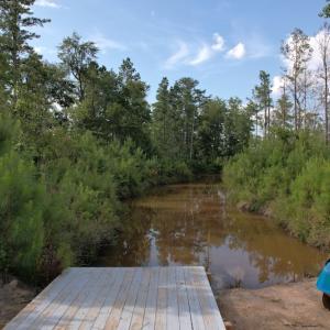 Photo #16 of SOLD property in Off Old Dothan Road, Tabor City, NC 20.9 acres