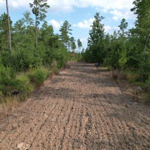 Photo #17 of SOLD property in Off Old Dothan Road, Tabor City, NC 20.9 acres