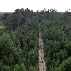 Photo #18 of SOLD property in Off Old Dothan Road, Tabor City, NC 20.9 acres