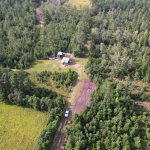 Photo #21 of SOLD property in Off Old Dothan Road, Tabor City, NC 20.9 acres