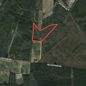 Photo #1 of SOLD property in Off Old Dothan Road, Tabor City, NC 20.9 acres