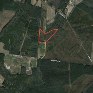 Photo #28 of SOLD property in Off Old Dothan Road, Tabor City, NC 20.9 acres